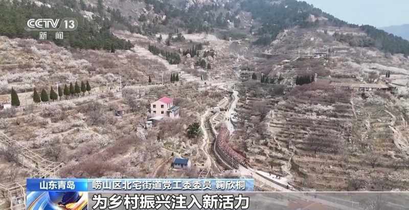  春风拂过花海；赏花热潮带动周边消费增长；乡村文旅融合注入发展新动力。 文化旅游