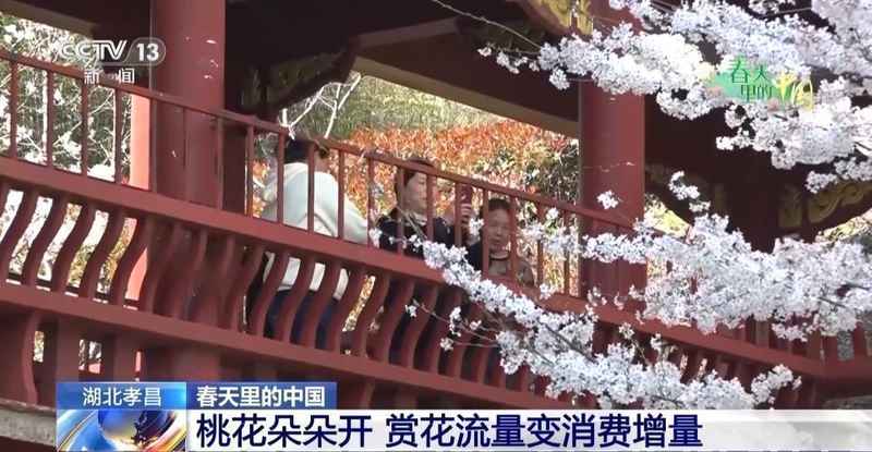  春风拂过花海；赏花热潮带动周边消费增长；乡村文旅融合注入发展新动力。 文化旅游