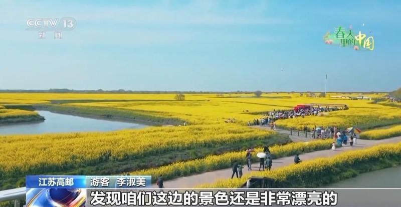  春风拂过花海；赏花热潮带动周边消费增长；乡村文旅融合注入发展新动力。 文化旅游