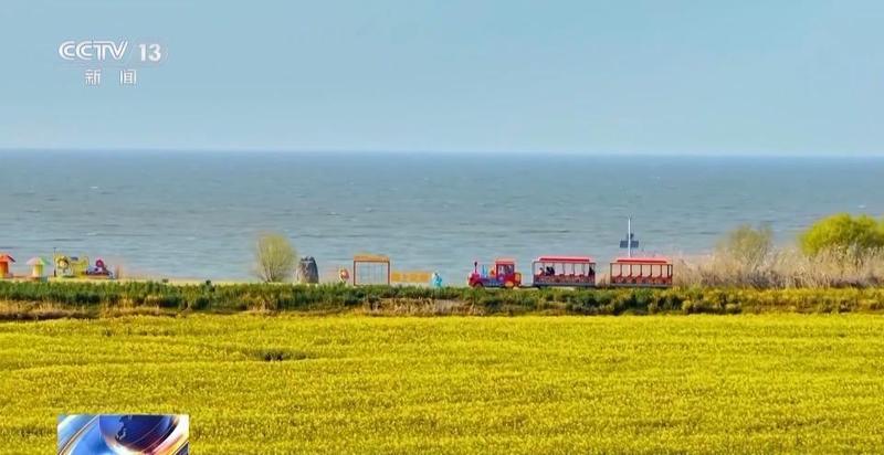  春风拂过花海；赏花热潮带动周边消费增长；乡村文旅融合注入发展新动力。 文化旅游