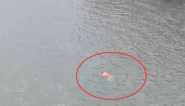 公众困扰:如何通过多维视角评估公共空间行为边界 新闻