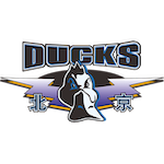  职业教练与战术分析师：解读京粤大战中的关键博弈与终结逻辑 体育新闻