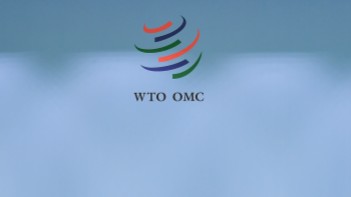  贸易增长与消费潜力：如何通过政策引导实现经济稳步前行？ 新闻