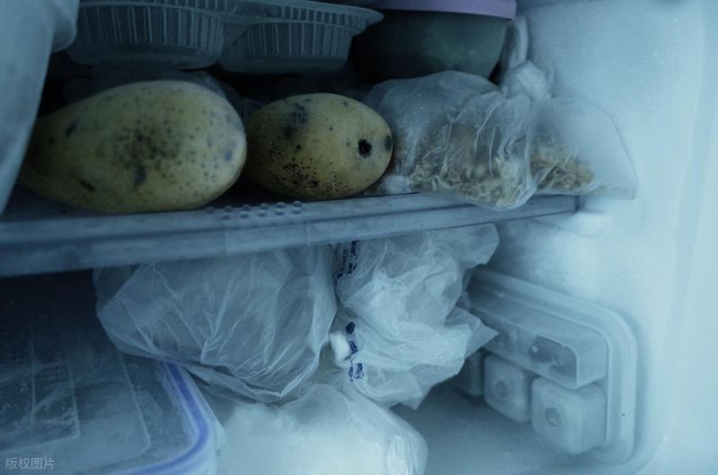  冷藏即保鲜？冰箱储存模式下的健康误区与致病逻辑 健康养生