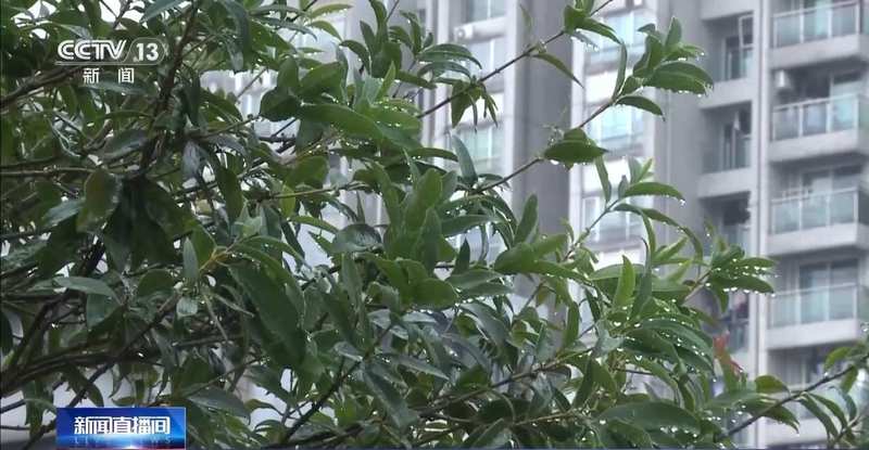  民谚误读：清明种瓜点豆并非农业万能定律 IT技术