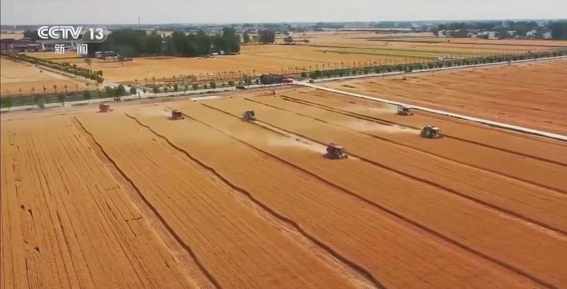  民谚误读：清明种瓜点豆并非农业万能定律 IT技术