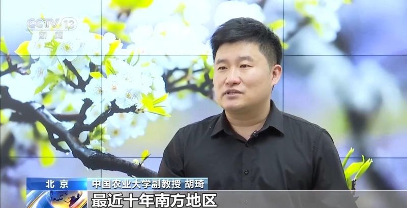  民谚误读：清明种瓜点豆并非农业万能定律 IT技术