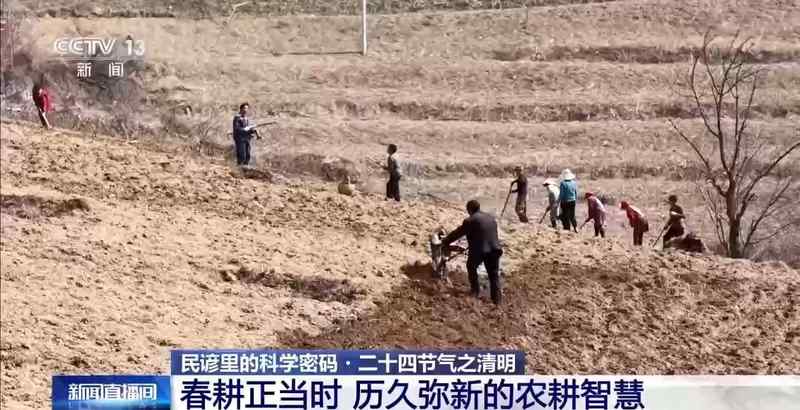  民谚误读：清明种瓜点豆并非农业万能定律 IT技术