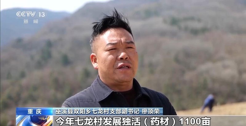  民谚误读：清明种瓜点豆并非农业万能定律 IT技术