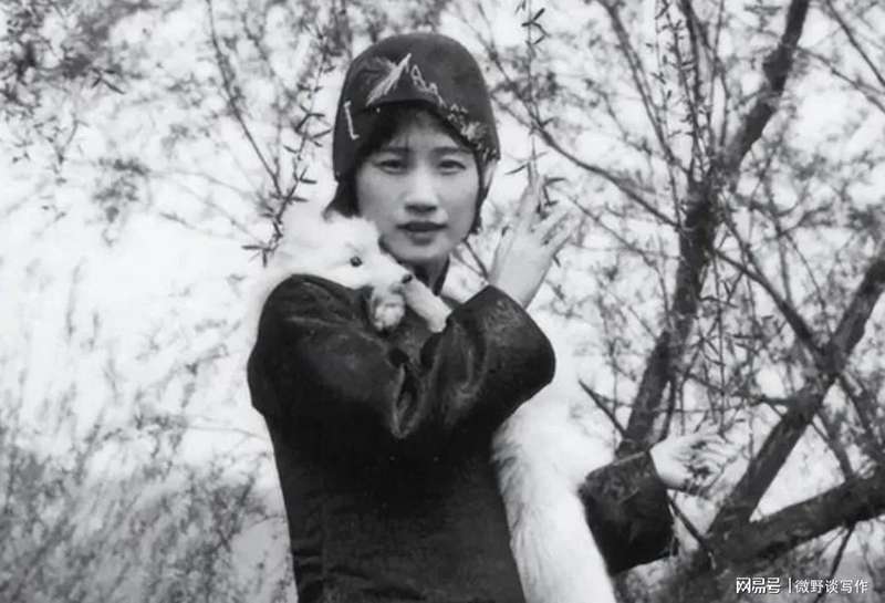  深度拆解：陈巨来笔下的民国秘闻为何至今难以定论 文化旅游