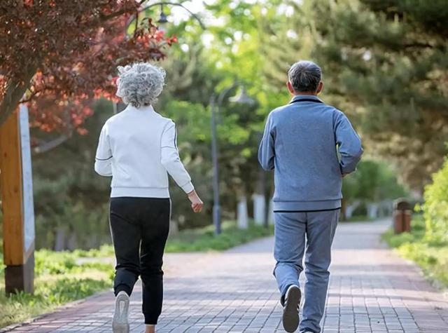  【深度技术解析】2-壬烯醛与皮脂氧化：55岁后体味管理的生化机制与系统性干预方案 健康养生