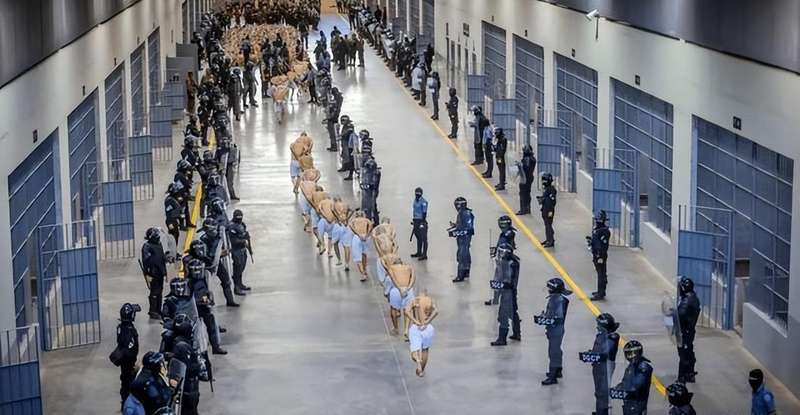 阿维尔中央监狱调查：数据拆解下的迪拜人权禁区