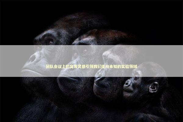 团队会议上的突发灵感引领我们走向未知的实验领域 新闻