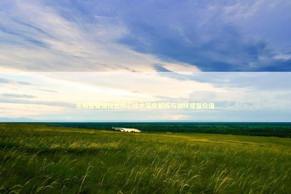 东南亚爱情仪式核心技术深度解析与独特修复价值 东南亚爱情仪式核心技术深度解析与独特修复价值