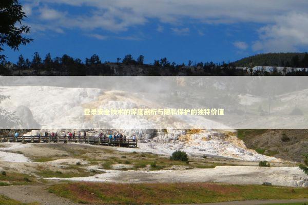 登录安全技术的深度剖析与隐私保护的独特价值 新闻