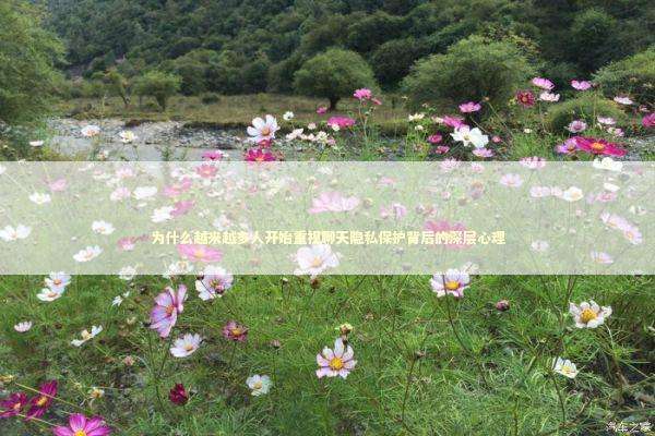 为什么越来越多人开始重视聊天隐私保护背后的深层心理